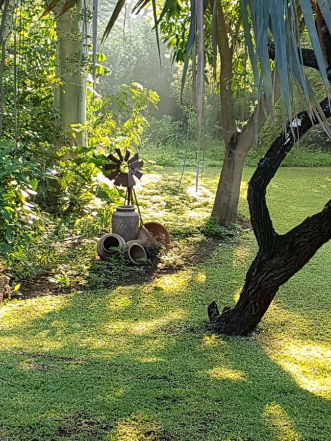 Kruger Allo B&B Komatipoort Zewnętrze zdjęcie